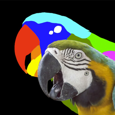 Placeholder Image